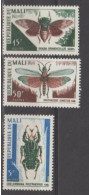 MALI-  Faune - Insectes : Chelorrhina Polyphenus, Ugada Grandicollis, Phymateus Cinetus - Mali (1959-...)