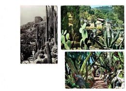 Lot 3 Cpm - Jardin Exotique De MONACO - Vision Hallucinante - Candélabres Géants - Cactus - Carabinier - Les Issambres - Cactus