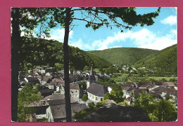 Vresse-sur-Semois (Namur) Alle-sur-Semois Panorama 2scans - Vresse-sur-Semois