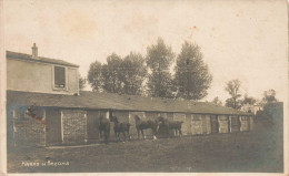 95 - BEZONS - S17686 - Haras Carte Photo - En L'état - Bezons