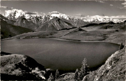 Bettmersee Auf Bettmeralp (19572) - Bettmeralp