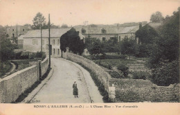 95 - BOISSY L AILLERIE - S17721 - L'Oiseau Bleu - Vue D'Ensemble - Boissy-l'Aillerie