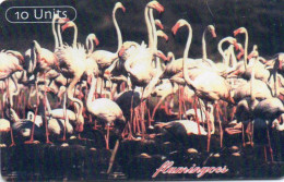 TANZANIA - CHIP CARD - ANIMAL - FLAMINGOS - REVERSE C - Tanzania