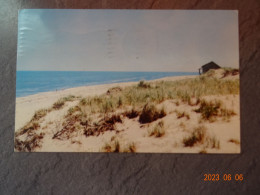 CAPE COD BEACH - Cape Cod