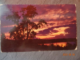 BEAUTIFUL BLACK HILLS OF SOUTH DAKOTA - Sonstige & Ohne Zuordnung