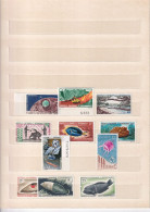 Nouvelle Calédonie Poste Aérienne N°73/213 - 1962/1981 - Cote 1160€ - Neuf ** Sans Charnière - TB - Neufs