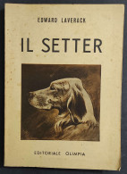 Il Setter - E. Laverack - Ed. Olimpia - 1949                                                                             - Pets