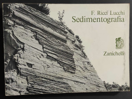 Sedimentografia - Atlante Strutture Primarie Sedimenti - Ed. Zanichelli - 1974                                           - Mathématiques Et Physique