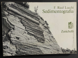 Sedimentografia - Atlante Strutture Primarie Sedimenti - Ed. Zanichelli - 1974                                           - Matematica E Fisica