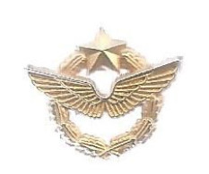 Insigne Type Pin's, Doré à L'OR Fin, Aviation, Pilote, Ed. Ballard, 2 Scans - Airforce
