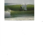 France - Postcard Used 1981 -   The Joys Of Surfing    2/scans - Ski Nautique