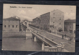 Senigaglia 1915 Via Giosuè Carducci Viaggata / Animata - Senigallia