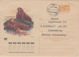 Russia Walrus Ca 22.11.1971  (LL200A) - Arctic Wildlife