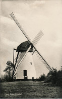 MOL  EZAART MOLEN       2 SCANS - Mol