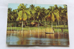 Cpm 1982, Cases De Pêcheurs Dans Une Cocoteraie, Togo - Togo