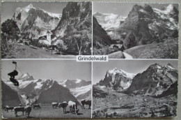 SWITZERLAND SWISS HELVETIA MISC GRINDELWALD EIGER BAHN CP PC AK POSTCARD ANSICHTSKARTE POSTKARTE CARTOLINA CARTE POSTALE - Wald