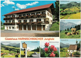 CP JUNGHOLZ - Gasthaus Harnischmacher - Multi Vues - 4 Vues - Ed. A. Tanner N°5767 C - Jungholz