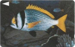 Bahrain - Batelco (GPT) - Fish Of Bahrain - Doublebar Bream - 39BAHT (Normal 0, Round Top ''3''), 1996, 200U, Used - Bahrein