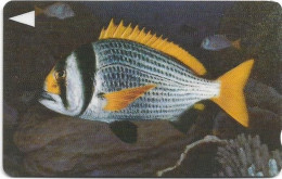 Bahrain - Batelco (GPT) - Fish Of Bahrain - Doublebar Bream - 40BAHK (Dashed Ø), 1996, 200U, Used - Bahrain