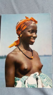 CPSM AFRIQUE EN COULEURS HOA QUI 3020 JEUNE AFRICAINE SEINS NUS FOLKLORE D AFRIQUE NOIRE SOURIRE GRACIEUX - Non Classés