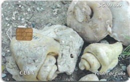 Cuba - Etecsa (Chip) - Fósiles De Cuba - Moldes De Gasterópodos, 11.2004, 5$, 15.000ex, Used - Cuba