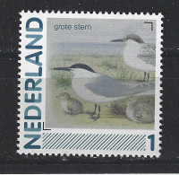 Netherlands Nederland Pays Bas Holanda MNH Grote Stern Sterne Charran Meeuw Gull Mouette Gaviota Vogel Bird Ave Oiseau - Seagulls