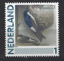 Nederland Netherlands Pays Bas Holanda Niederlande MNH Huis Zwaluw Swallow Hirondelle Golondrina Vogel Bird Ave Oiseaau - Rondini