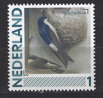 Nederland Netherlands Pays Bas Holanda Niederlande MNH Huis Zwaluw Swallow Hirondelle Golondrina Vogel Bird Ave Oiseaau - Schwalben