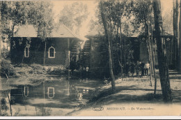 MEERHOUT  DE WATERMOLEN          2 SCANS - Meerhout