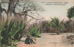 Afrique Occidentale Sénégal Dakar Jardin De Hann Cachet Albis Zürich 1912 Colorée - Sénégal