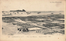 Cancale * Vue Sur Le Parc Aux Huîtres * Ostréiculture - Cancale