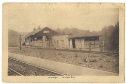 BASSENGE  --  La Gare Etat  ( RARE ) ( Abimée ) - Bassenge