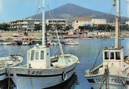 Carqueiranne - Le Port  Et Les Hotels  - CPM °J - Carqueiranne