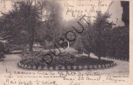 Postkaart/Carte Postale - Tienen - Jardin Du Pensionnat Des Soeurs De Notre Dame (C4247) - Tienen