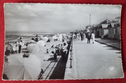 CPSM Petit Format - Luc Sur Mer - La Digue Et La Plage - Luc Sur Mer