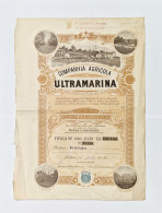 PORTUGAL - LISBOA - Companhia Agricola Ultramarina -Titulo De Uma Acção 100$00-Nº 45475 - 30JAN1919 - Landwirtschaft