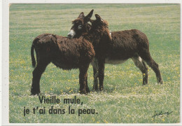 ANIMAUX 727 : Vieille Mule Je T'ai Dans La Peau" âne " édit. Cim - Anes