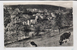 5190 STOLBERG - SCHEVENHÜTTE, Dorfansicht - Stolberg