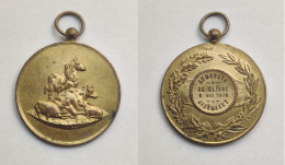 Ancienne Medaille Old Medal De Clinge Vee Cattle Bétail Oost-Vlaanderen Jaarmarkt Paard Cheval Horse Concours Agricole - Tokens Of Communes