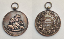 Ancienne Medaille Old Medal Sint Niklaas 1929 Vee Cattle Bétail Winter Jaarmarkt Paard Cheval Horse Concours Agricole - Gemeentepenningen