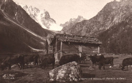 Champex - Val D'arpette Et Pointe D'orny - Troupeau - Sonstige & Ohne Zuordnung