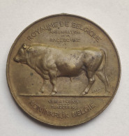 Oude Medaille CANTON BRABANT 1906 Ancienne Old Medal Jaarmarkt Prijskamp Koe Vache Cow Concours Agricole Race Bovine - Tokens Of Communes