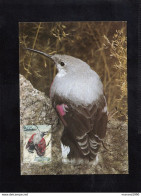 REPUBLIC OF MACEDONIA, CARTE MAXIMUM, MICHEL 333 - BIRDS-Tichodroma Muraria + - Piciformes (pájaros Carpinteros)