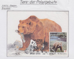 Romania Brown Bear Maxicard TI151A) - Faune Arctique