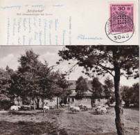 Schneverdingen Bei Soltau - Schäferhof        Ca. 1960 - Schneverdingen