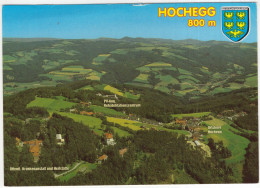 Hochegg 800 M - Öffentl. Krankenanstalt Und Heilstätte, Reh. Zentrum, Ortskern - (Österreich/Austria) - Luftbild - Neunkirchen