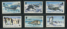 Territoire Antarctique Britannique** N°  213 à 218  - Protection De La Nature - Unused Stamps