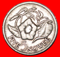 * GREAT BRITAIN (1968-1987): ZAMBIA  5 NGWEE 1972! · LOW START! · NO RESERVE!!! - Zambia