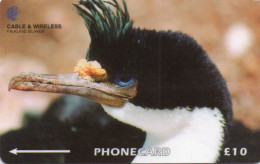 FALKLAND ISLANDS - GPT - C&W - 314CFKA - BIRD - KING CORMORANT - Falklandeilanden