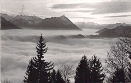 SUISSE - Blick Vom Rigi Auf Nebelmeer Und Stanserborn - Carte Postale Ancienne - Elm